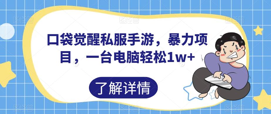 口袋觉醒私服手游，暴力项目，一台电脑轻松1w+【揭秘】-副业城