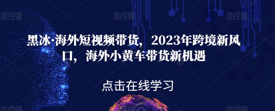 黑冰·海外短视频带货，2023年跨境新风口，海外小黄车带货新机遇-副业城