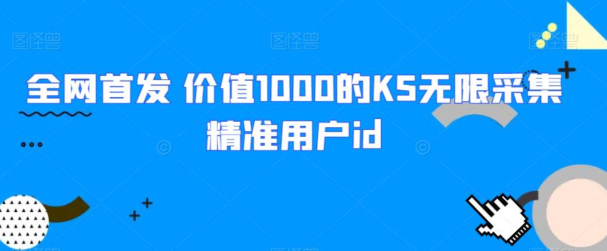 全网首发 价值1000的KS无限采集精准用户id-副业城