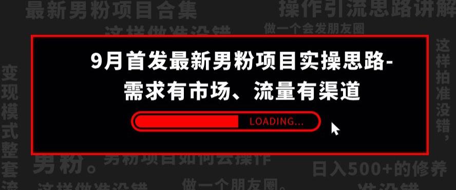 9月首发最新男粉项目实操思路-需求有市场，流量有渠道【揭秘】-副业城