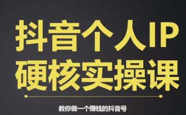 个人IP创富系统实战课，商业定位，流量打造，短视频变现，教你做个赚钱的抖音号-副业城