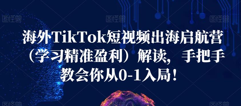 海外TikTok短视频出海启航营（学习精准盈利）解读，手把手教会你从0-1入局！-副业城