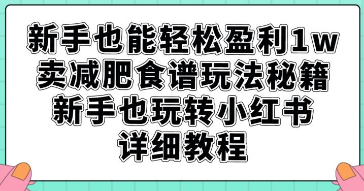 新手也能轻松盈利1w，卖减肥食谱玩法秘籍，新手也玩转小红书详细教程【揭秘】-副业城