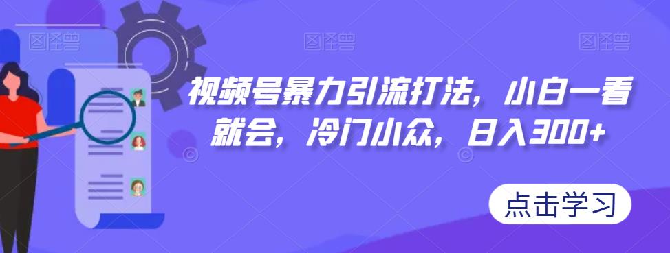 视频号暴力引流打法，小白一看就会，冷门小众，日入300+【揭秘】-副业城