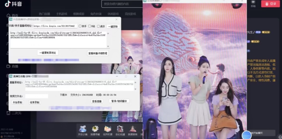 图片[2]-【高端精品】最新电脑版抖音/快手/B站直播源获取+直播间实时录制+直播转播软件【全套软件+详细教程】-副业城