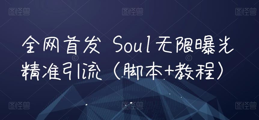 全网首发 Soul无限曝光精准引流（脚本+教程）-副业城