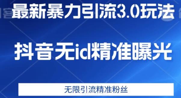 最新暴力引流3.0版本，抖音无id暴力引流各行业精准用户-副业城