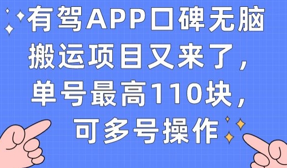 有驾APP口碑无脑搬运项目又来了，单号最高110块，可多号操作-副业城