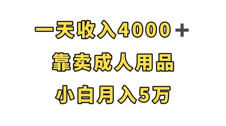 一天收入4000+，靠卖成人用品，小白轻松月入5万【揭秘】-副业城