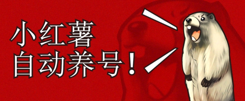 小红书养号秘籍，如何自动涨粉清晰系统标签打造高权重账号【揭秘】-副业城