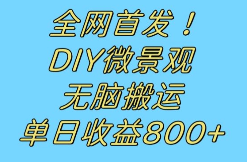 全网首发冷门赛道！DIY微景观，无脑搬运视频，日收益800+【揭秘】-副业城