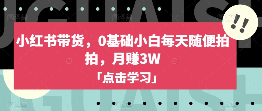 小红书带货，0基础小白每天随便拍拍，月赚3W【揭秘】-副业城