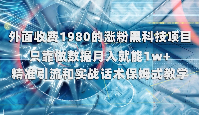 外面收费1980的涨粉黑科技项目，只靠做数据月入就能1w+【揭秘】-副业城
