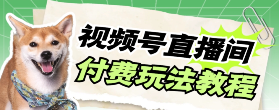 视频号美女付费无人直播，轻松日入500+【详细玩法教程】-副业城