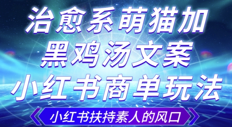 治愈系萌猫加+黑鸡汤文案，小红书商单玩法，3~10天涨到1000粉，一单200左右-副业城