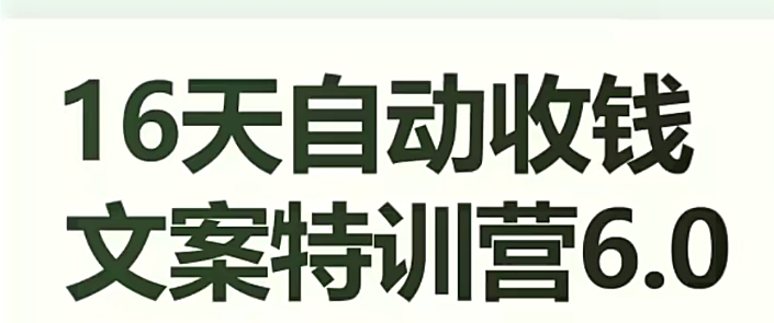 16天自动收钱文案特训营6.0，学会儿每天自动咔咔收钱-副业城