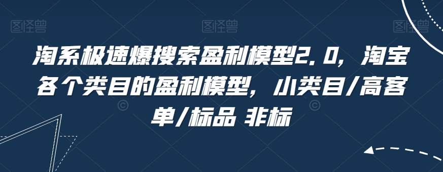 淘系极速爆搜索盈利模型2.0，淘宝各个类目的盈利模型，小类目/高客单/标品 非标-副业城