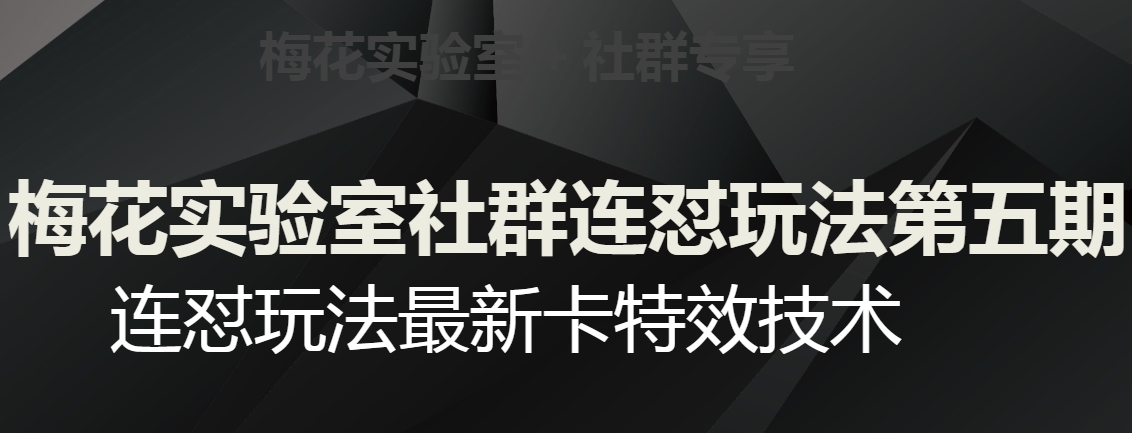 梅花实验室社群连怼玩法第五期，视频号连怼玩法最新卡特效技术-副业城