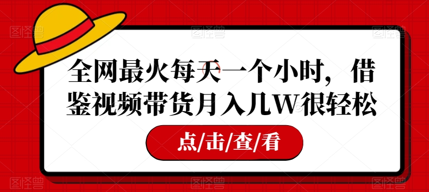 全网最火每天一个小时，借鉴视频带货月入几W很轻松【揭秘】-副业城