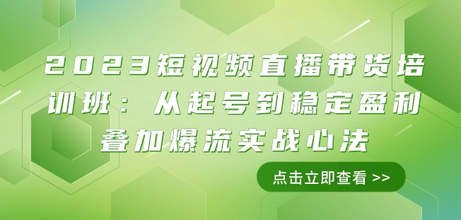 2023短视频直播带货培训班：从起号到稳定盈利叠加爆流实战心法（11节课）-副业城