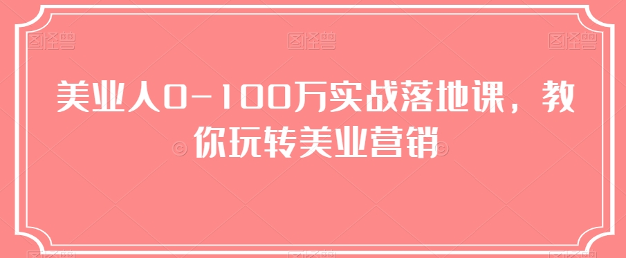 美业人0-100万实战落地课，教你玩转美业营销-副业城