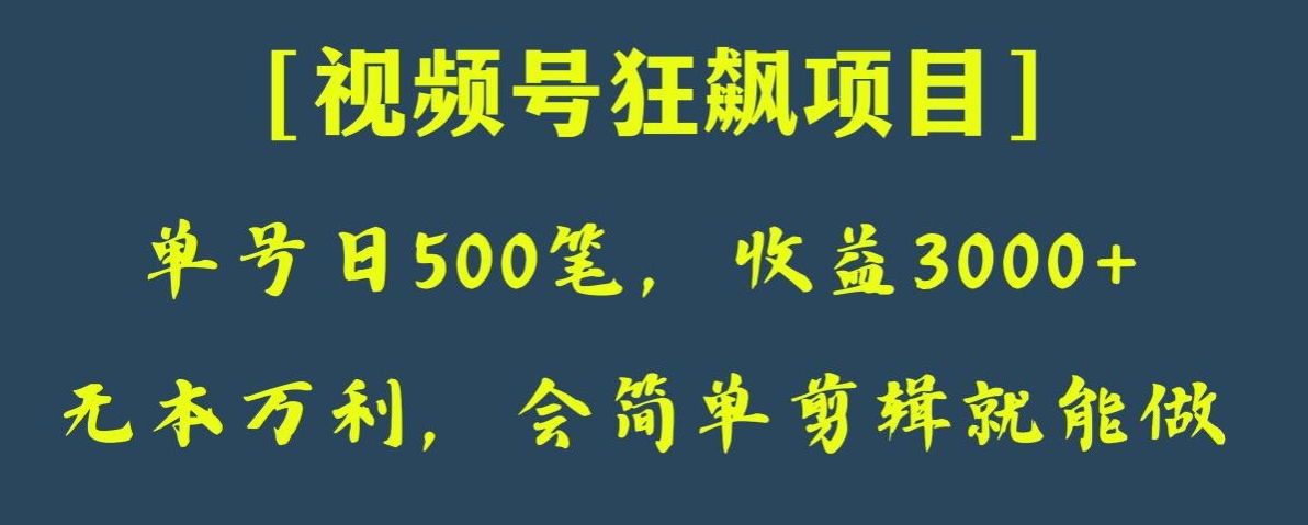 日收款500笔，纯利润3000+，视频号狂飙项目，会简单剪辑就能做【揭秘】-副业城