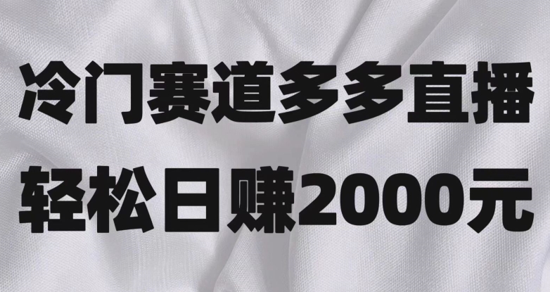 冷门赛道拼多多直播，简单念稿子，日收益2000＋【揭秘】-副业城