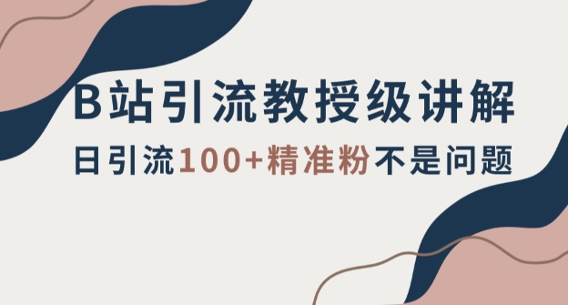 B站引流教授级讲解，细节满满，日引流100+精准粉不是问题【揭秘】-副业城