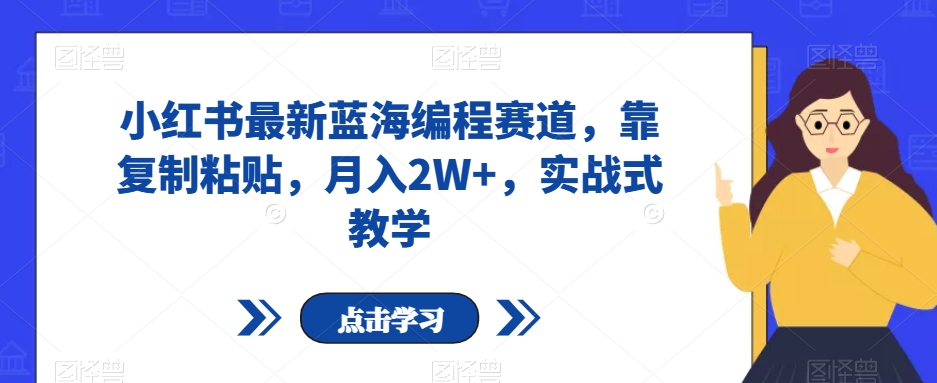 小红书最新蓝海编程赛道，靠复制粘贴，月入2W+，实战式教学【揭秘】-副业城