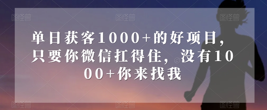 单日获客1000+的好项目，只要你微信扛得住，没有1000+你来找我【揭秘】-副业城