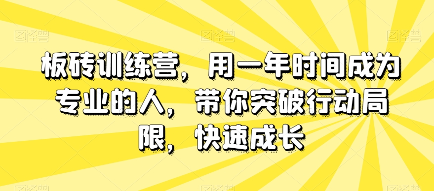 板砖训练营，用一年时间成为专业的人，带你突破行动局限，快速成长-副业城