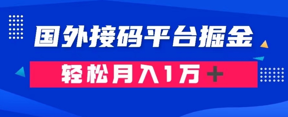 通过国外接码平台掘金：成本1.3，利润10＋，轻松月入1万＋【揭秘】-副业城