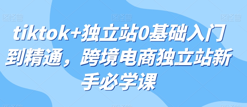 tiktok+独立站0基础入门到精通，跨境电商独立站新手必学课-副业城