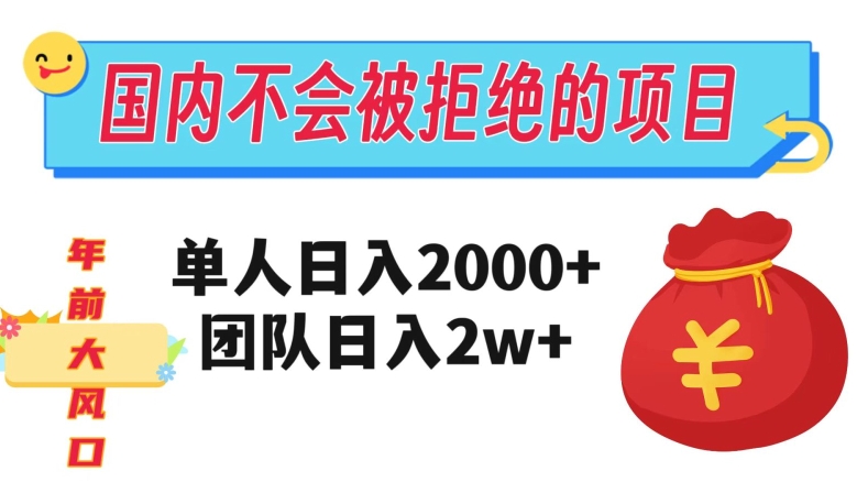 在国内不怕被拒绝的项目，单人日入2000，团队日入20000+【揭秘】-副业城