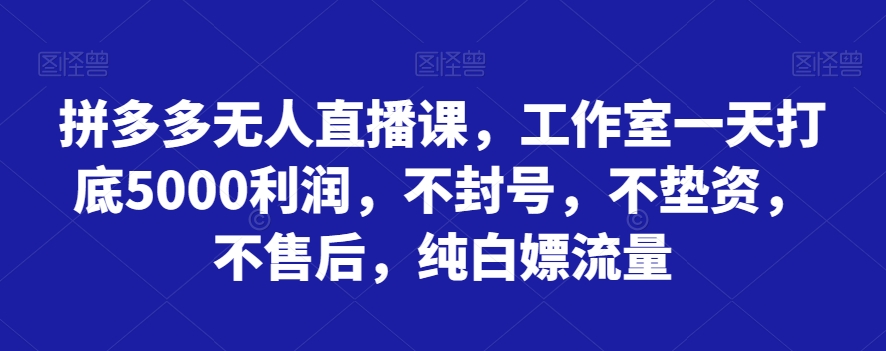 拼多多无人直播课，工作室一天打底5000利润，不封号，不垫资，不售后，纯白嫖流量-副业城