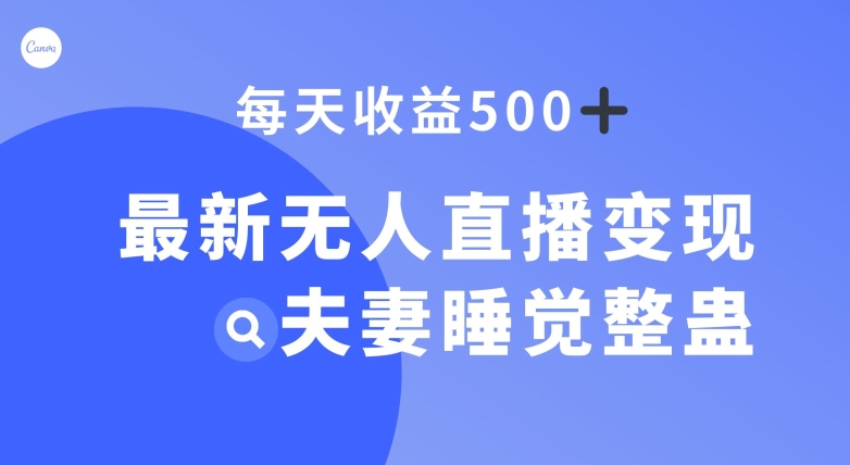 最新无人直播变现，夫妻睡觉整蛊，每天躺赚500+【揭秘】-副业城