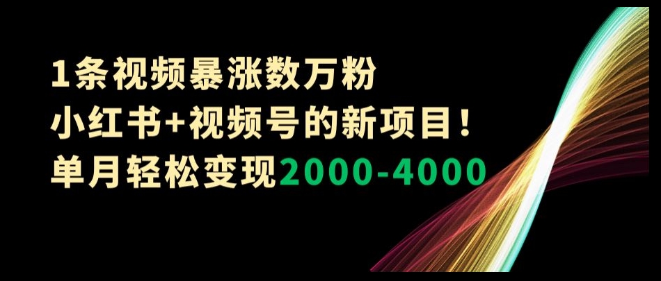 1条视频暴涨数万粉–小红书+视频号的新项目！单月轻松变现2000-4000【揭秘】-副业城