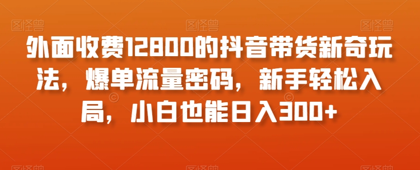 外面收费12800的抖音带货新奇玩法，爆单流量密码，新手轻松入局，小白也能日入300+【揭秘】-副业城