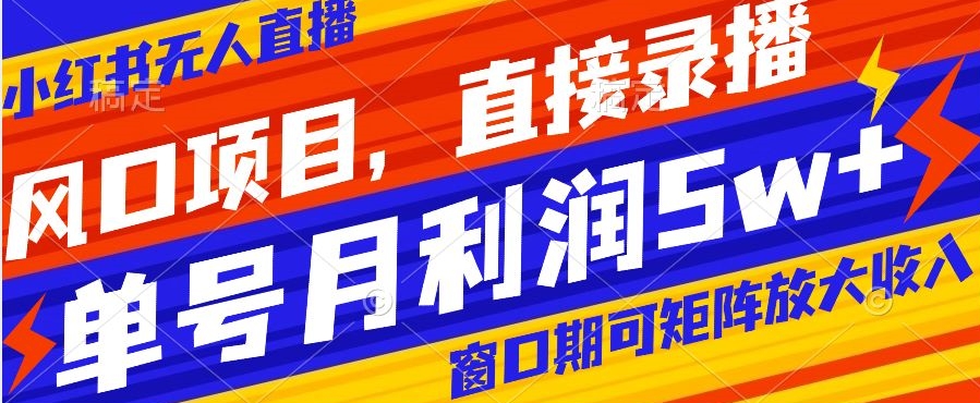 风口项目，小红书无人直播带货，直接录播，可矩阵，月入5w+【揭秘】-副业城