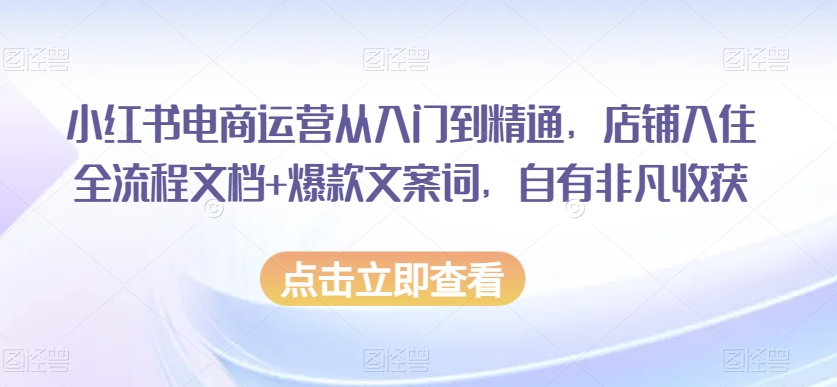 小红书电商运营从入门到精通，店铺入住全流程文档+爆款文案词，自有非凡收获-副业城