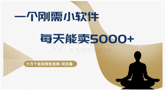 十万个富翁修炼宝典之17.一个刚需小软件，每天能卖5000+-副业城