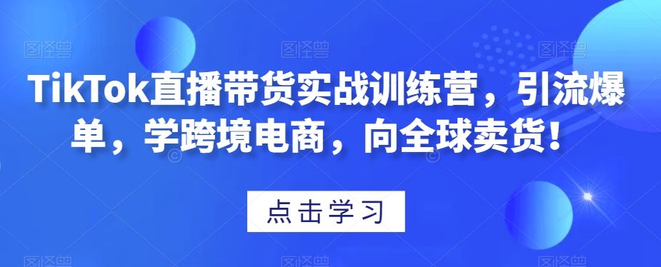 TikTok直播带货实战训练营，引流爆单，学跨境电商，向全球卖货！-副业城