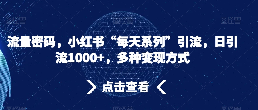 流量密码，小红书“每天系列”引流，日引流1000+，多种变现方式【揭秘】-副业城