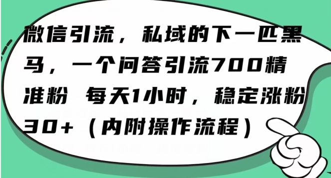 怎么搞精准创业粉？微信新赛道，每天一小时，利用Ai一个问答日引100精准粉-副业城