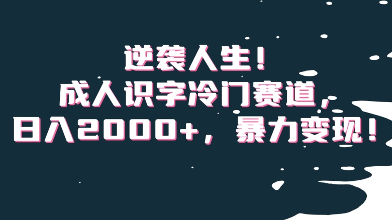 逆袭人生！成人识字冷门赛道，日入2000+，暴力变现！【揭秘】-副业城