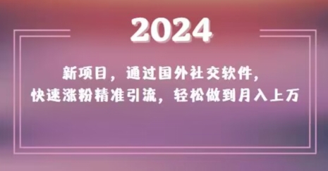 2024新项目，通过国外社交软件，快速涨粉精准引流，轻松做到月入上万【揭秘】-副业城