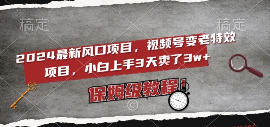 2024最新风口项目，视频号变老特效项目，电脑小白上手3天卖了3w+，保姆级教程【揭秘】-副业城