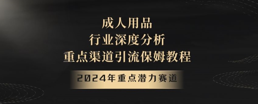 2024年重点潜力赛道，成人用品行业深度分析，重点渠道引流保姆教程【揭秘】-副业城