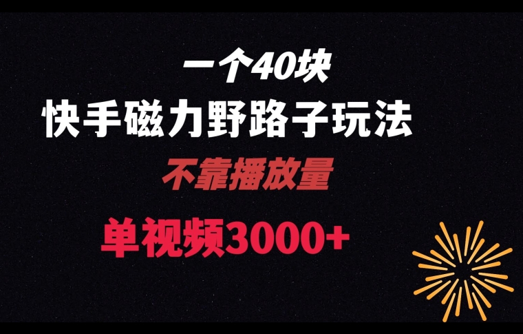 一个40块，快手联合美团磁力新玩法，无视机制野路子玩法，单视频收益4位数【揭秘】-副业城