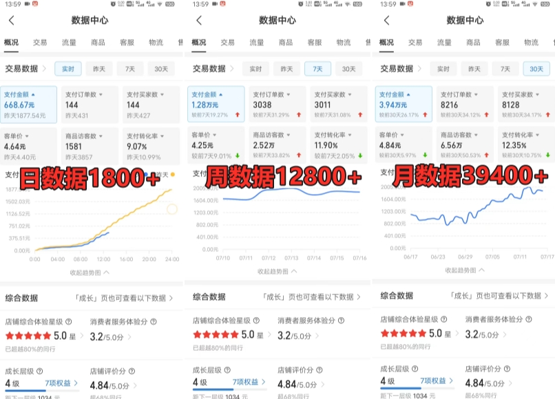 图片[2]-拼多多虚拟电商训练营月入30000+你也行，暴利稳定长久，副业首选-副业城